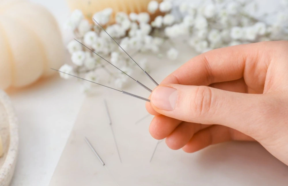 Acupuntura para cães valor