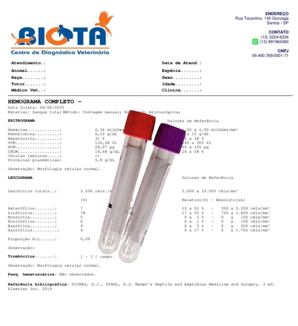 Imagem ilustrativa de Exame sangue cachorro valor