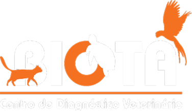 Biota